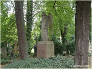 [Click to enlarge image]