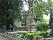 [Click to enlarge image]