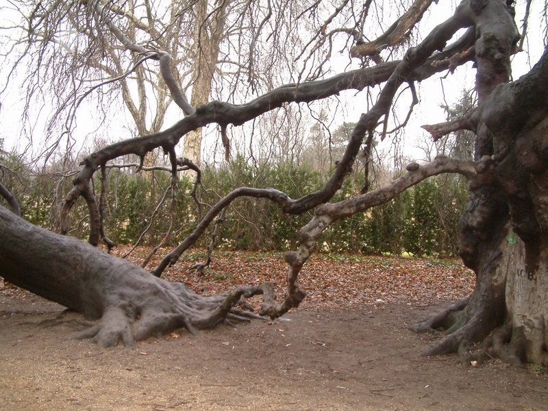 0035_potsdam.jpg