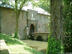 torburg_mitbaum_c.jpg